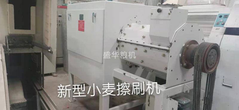 新型小麥擦刷機