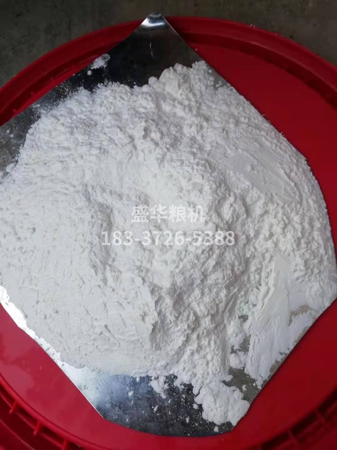 玉米面，玉米顆粒樣品